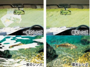 偏光レンズ